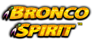 Bronco Spirit Logo