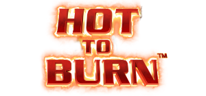 Hot to Burn Logo