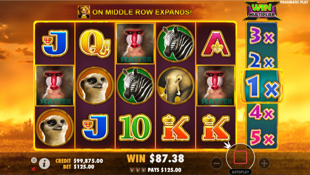 Hot Safari Game Image #1