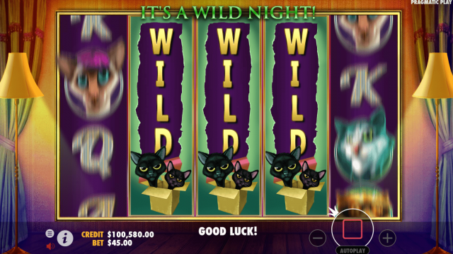 The Catfather Game Image #4