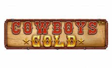 Cowboys Gold Logo