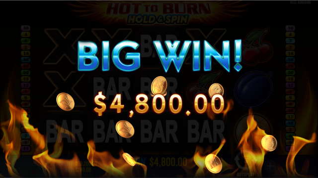 Hot to Burn Hold & Spin Game Image #1